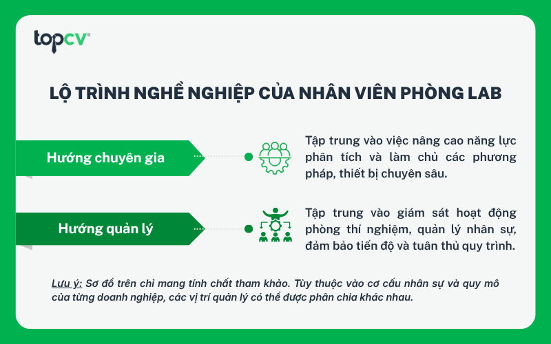 Kỹ thuật viên phòng thí nghiệm có thể lựa chọn nhiều hướng phát triển khác nhau tùy theo năng lực và định hướng cá nhân