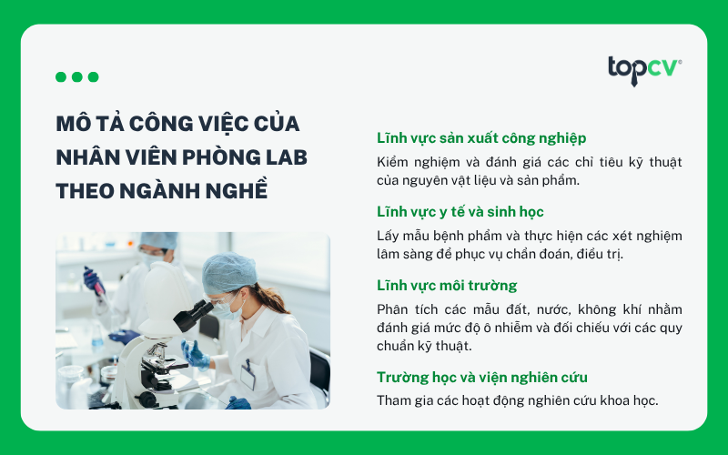 Công việc của Nhân viên phòng Lab theo từng lĩnh vực