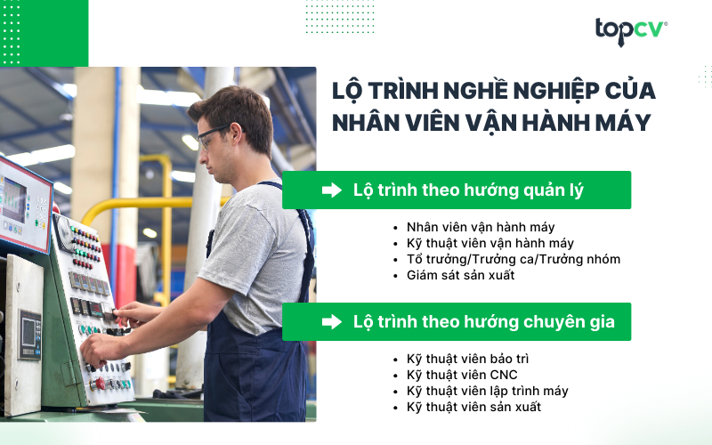 Lộ trình nghề nghiệp của Nhân viên vận hành máy