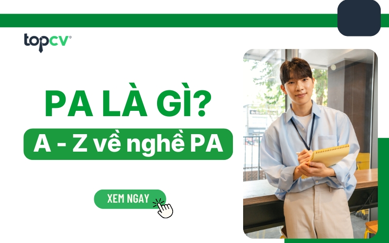 PA là gì? Tìm hiểu từ A đến Z về nghề PA