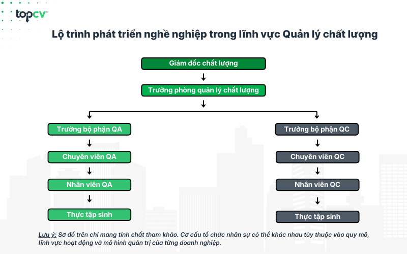 Lộ trình nghề nghiệp trong lĩnh vực Quản lý chất lượng
