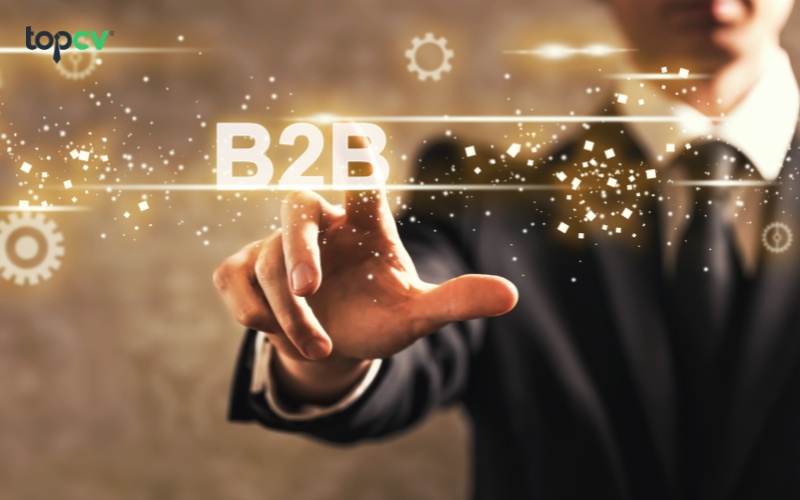 Sale B2B là gì? 12 điều nhất định PHẢI BIẾT về Sale B2B