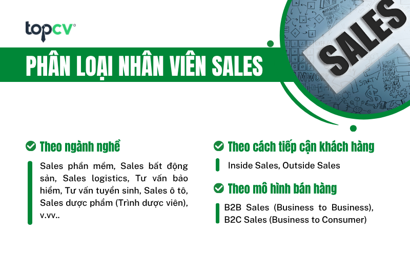 Phân loại Nhân viên Sales