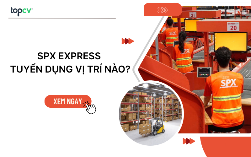 SPX Express tuyển dụng vị trí nào? Review môi trường làm việc chi tiết