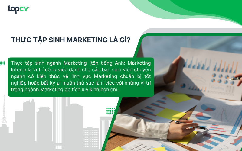 Thực tập sinh Marketing là vị trí khởi đầu trong ngành Marketing