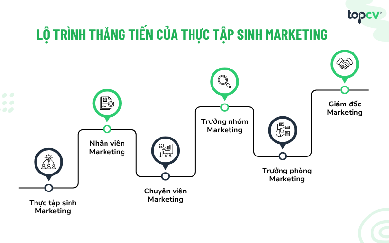 Lộ trình thăng tiến của Thực tập sinh Marketing