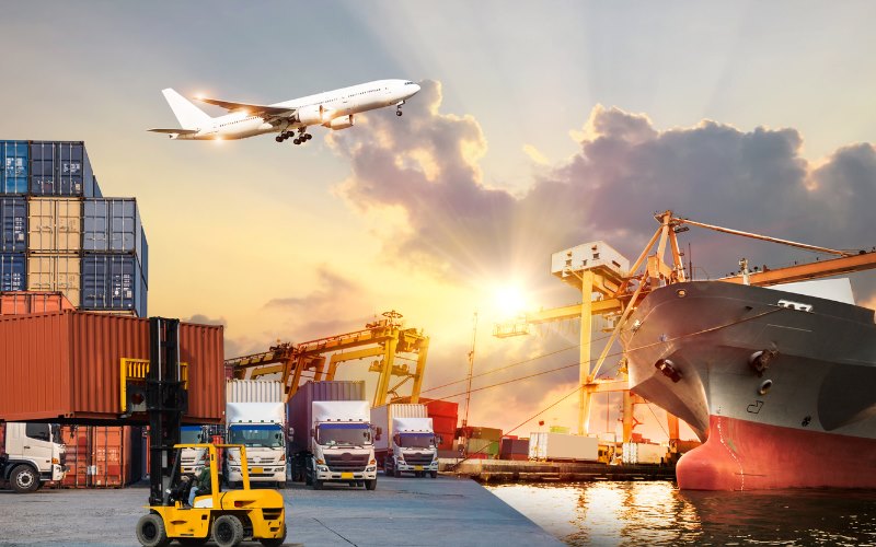 Thực tập sinh xuất nhập khẩu: Nhiệm vụ, quyền lợi và mức lương ra sao?