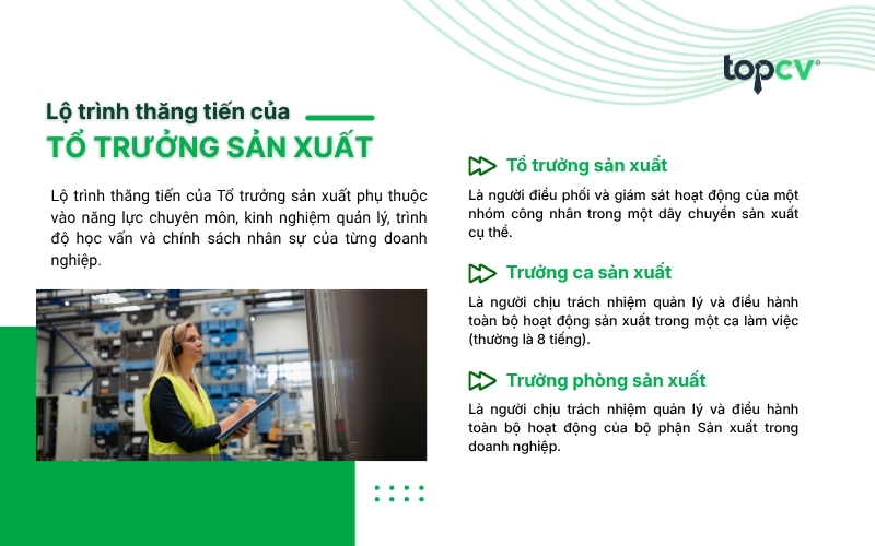 Lộ trình nghề nghiệp của Tổ trưởng sản xuất