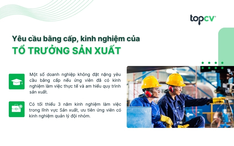 Yêu cầu về bằng cấp, kinh nghiệm của Tổ trưởng sản xuất