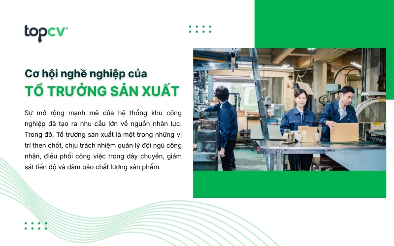 Cơ hội việc làm của Tổ trưởng sản xuất