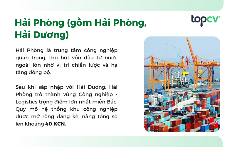Hải Phòng là vùng Công nghiệp - Logistics lớn nhất miền Bắc (Ảnh: Báo Tuổi Trẻ)