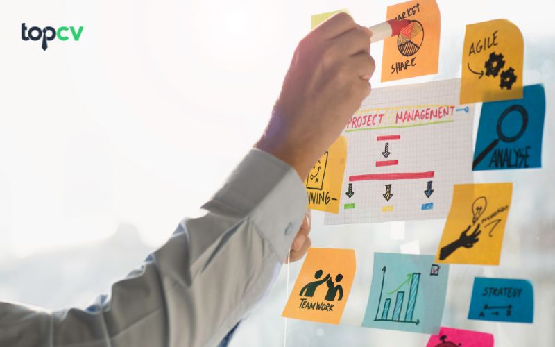 Trainee là gì? Tất tần tật những điều bạn cần biết về Trainee
