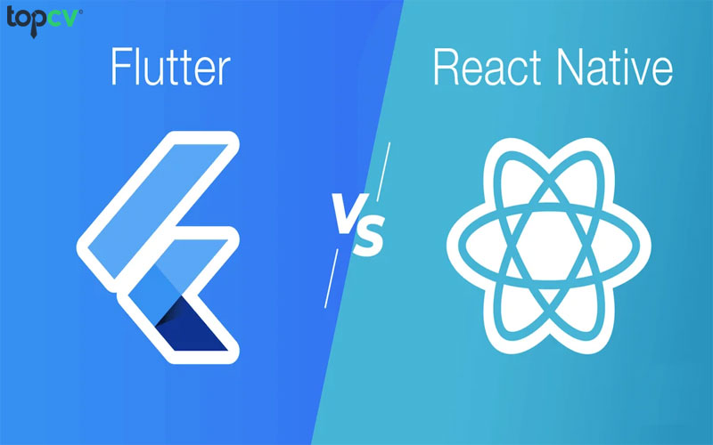 Tỷ lệ lập trình viên flutter và react native HOT trong 2024