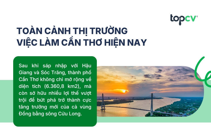 Toàn cảnh thị trường việc làm Cần Thơ hiện nay