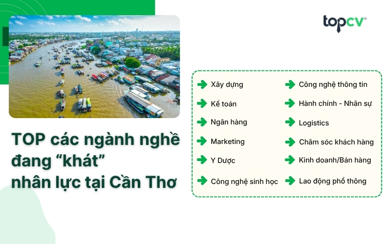 TOP các ngành nghề đang “khát” nhân lực tại Cần Thơ