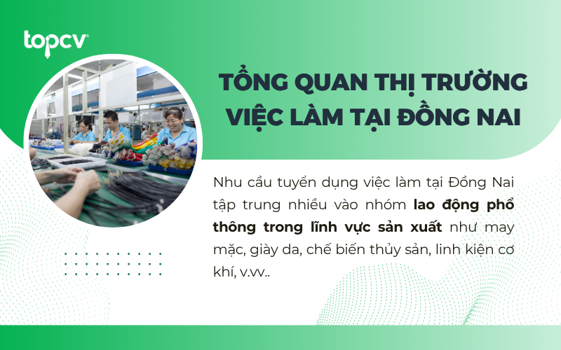 Nhu cầu tuyển dụng tại Đồng Nai tăng cao ở các lĩnh vực may mặc, giày da, chế biến, linh kiện cơ khí