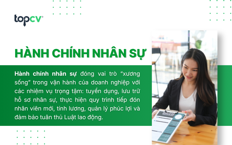 Thị trường tuyển dụng Hành chính nhân sự đang có những bước hồi phục mạnh mẽ vào năm 2026