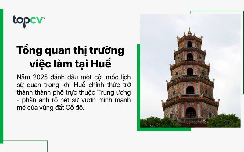 Tổng quan thị trường việc làm tại Huế