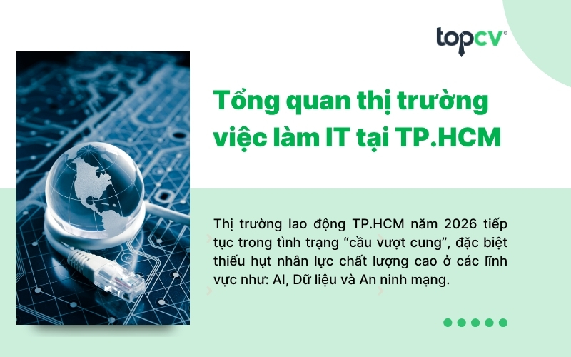 Tổng quan thị trường việc làm IT tại TP.HCM