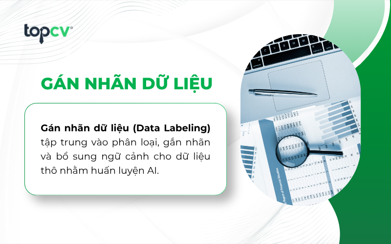 Gán nhãn dữ liệu (Data Labeling) là công việc liên quan đến AI có thể làm part time khá phổ biến