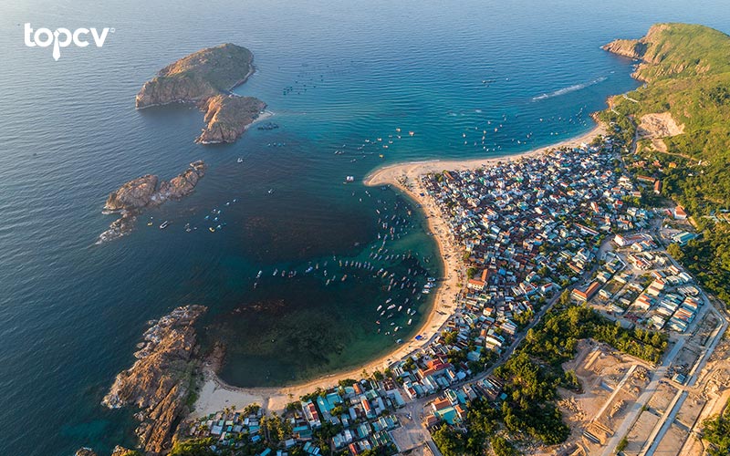 Nhu cầu việc làm Quy Nhơn đang tăng cao trong 2023