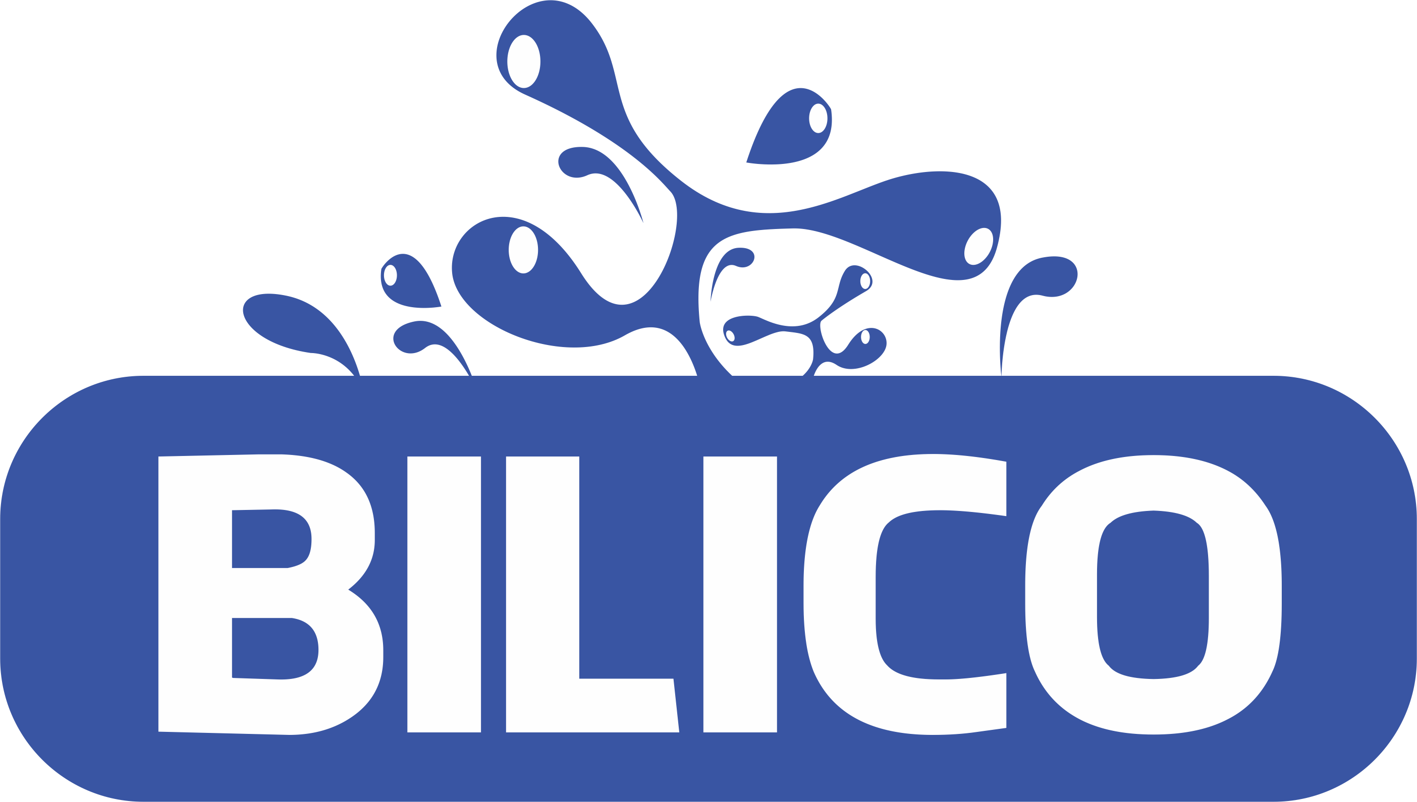 CTY BILICO CHUYÊN THI CÔNG HỒ BƠI VÀ PHÒNG XÔNG HƠI
