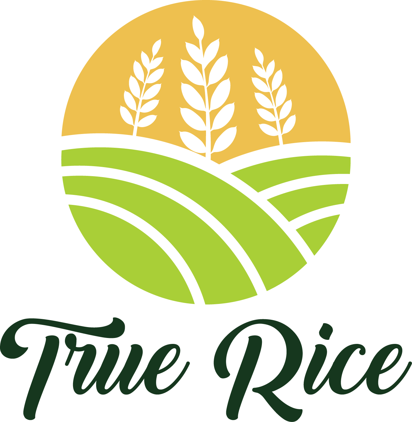 Công ty CPTM True Rice - TOPCV