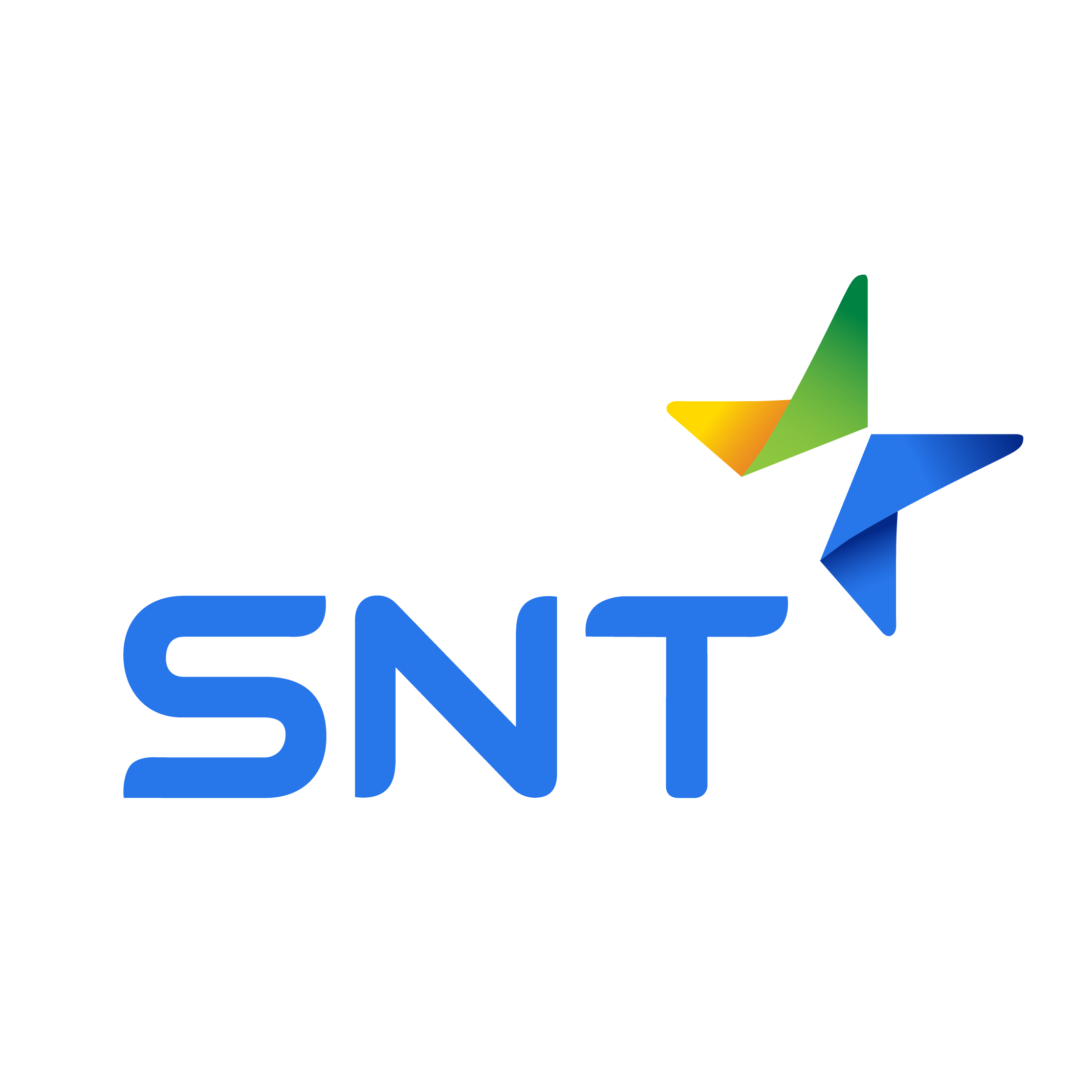 Công ty Cổ phần Tập đoàn SNT