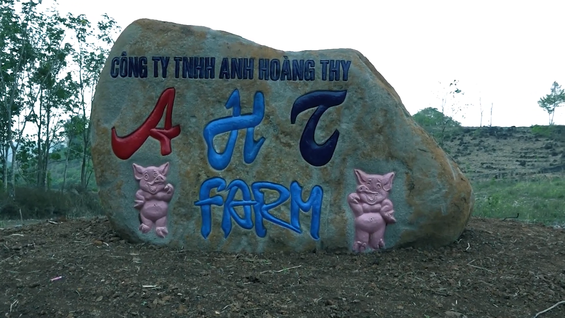 Hình ảnh Công Ty TNHH Anh Hoàng Thy 2