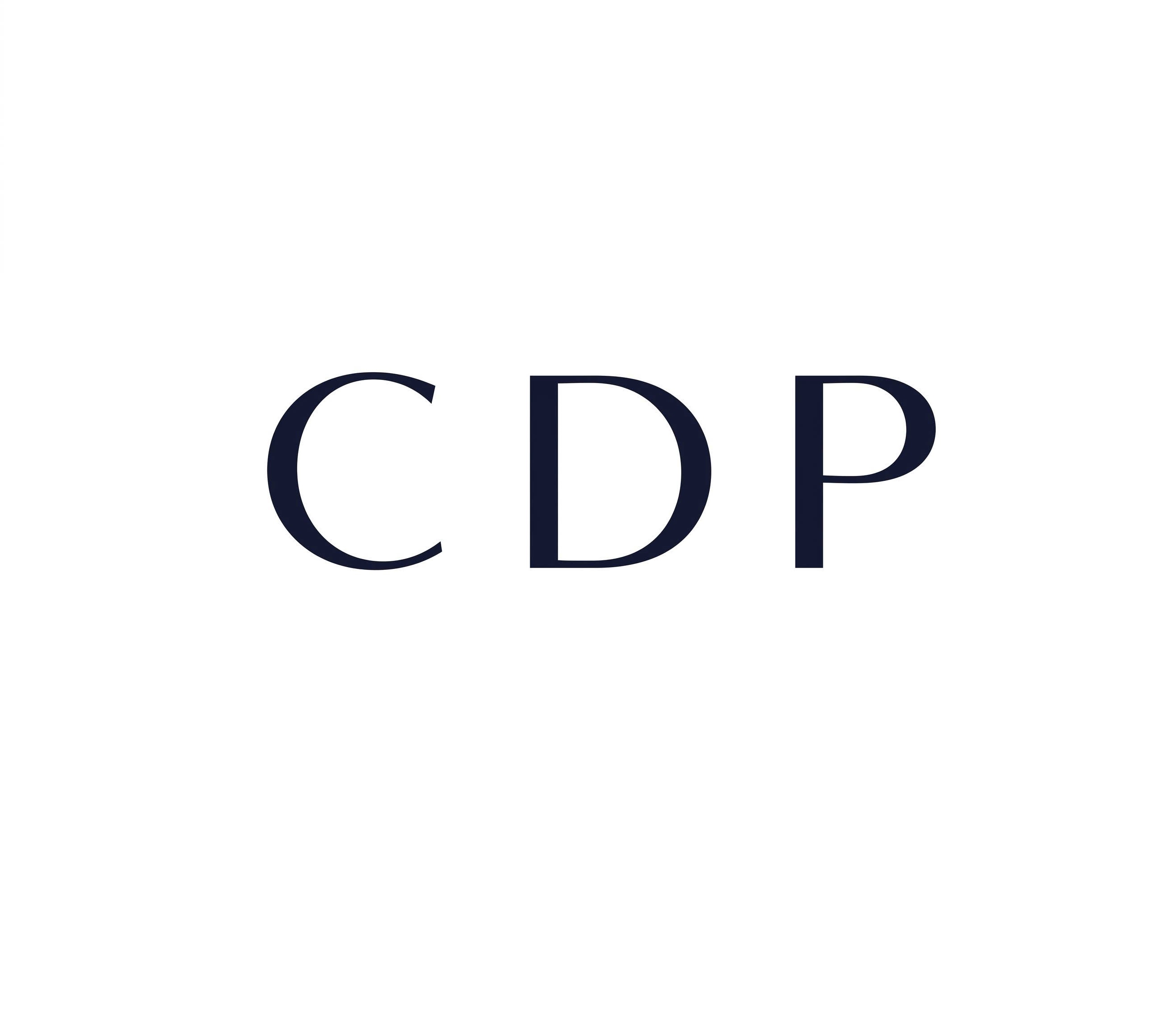 Hình ảnh CÔNG TY TNHH XNK CDP 1