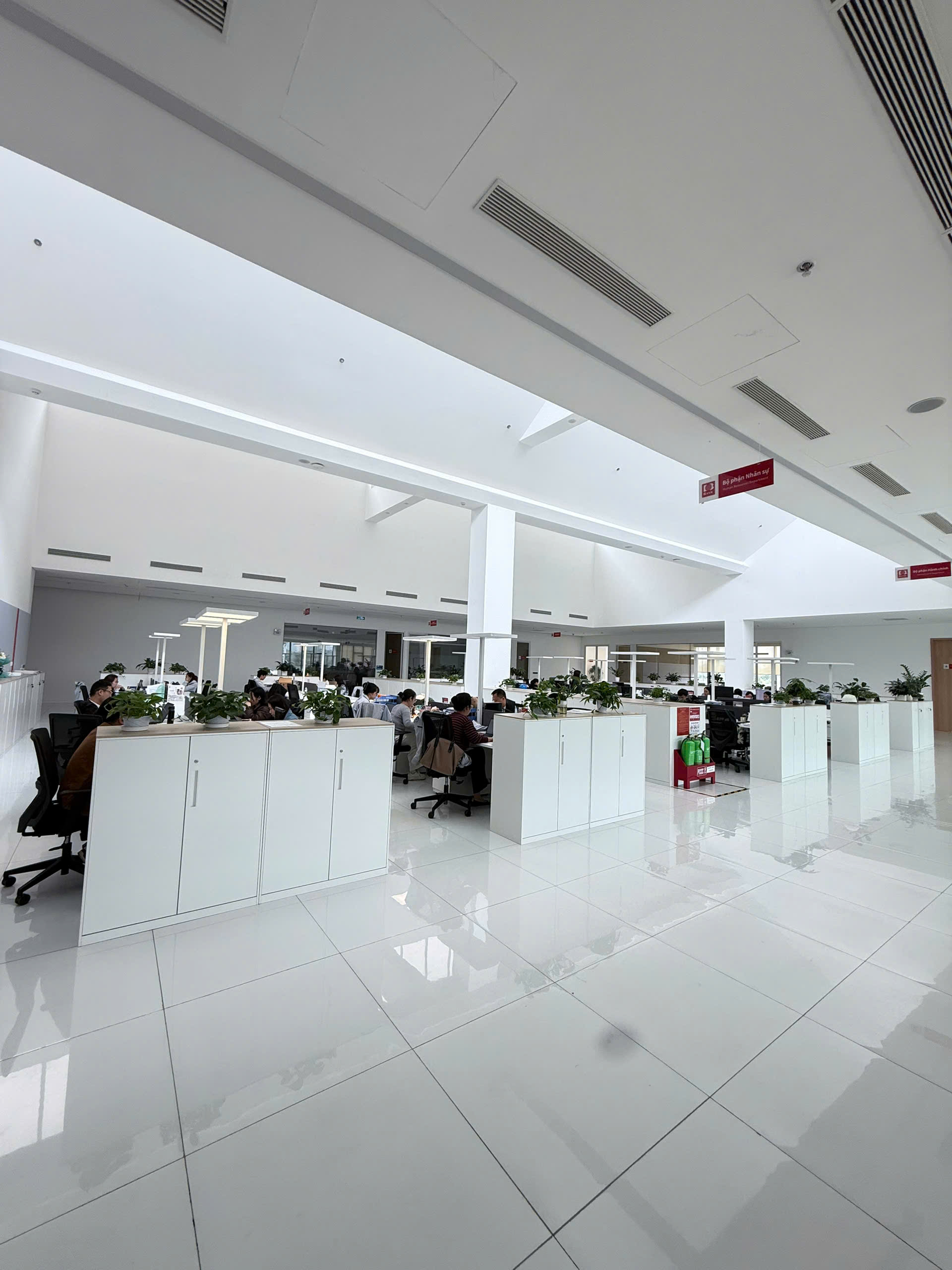 Hình ảnh CÔNG TY TNHH BASIC INTERNATIONAL VIỆT NAM 3