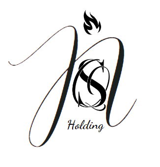 Hình ảnh CÔNG TY CỔ PHẦN NSQ HOLDING 1