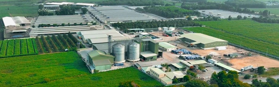 Hình ảnh CÔNG TY TNHH QL FEEDINGSTUFFS VIỆT NAM 1