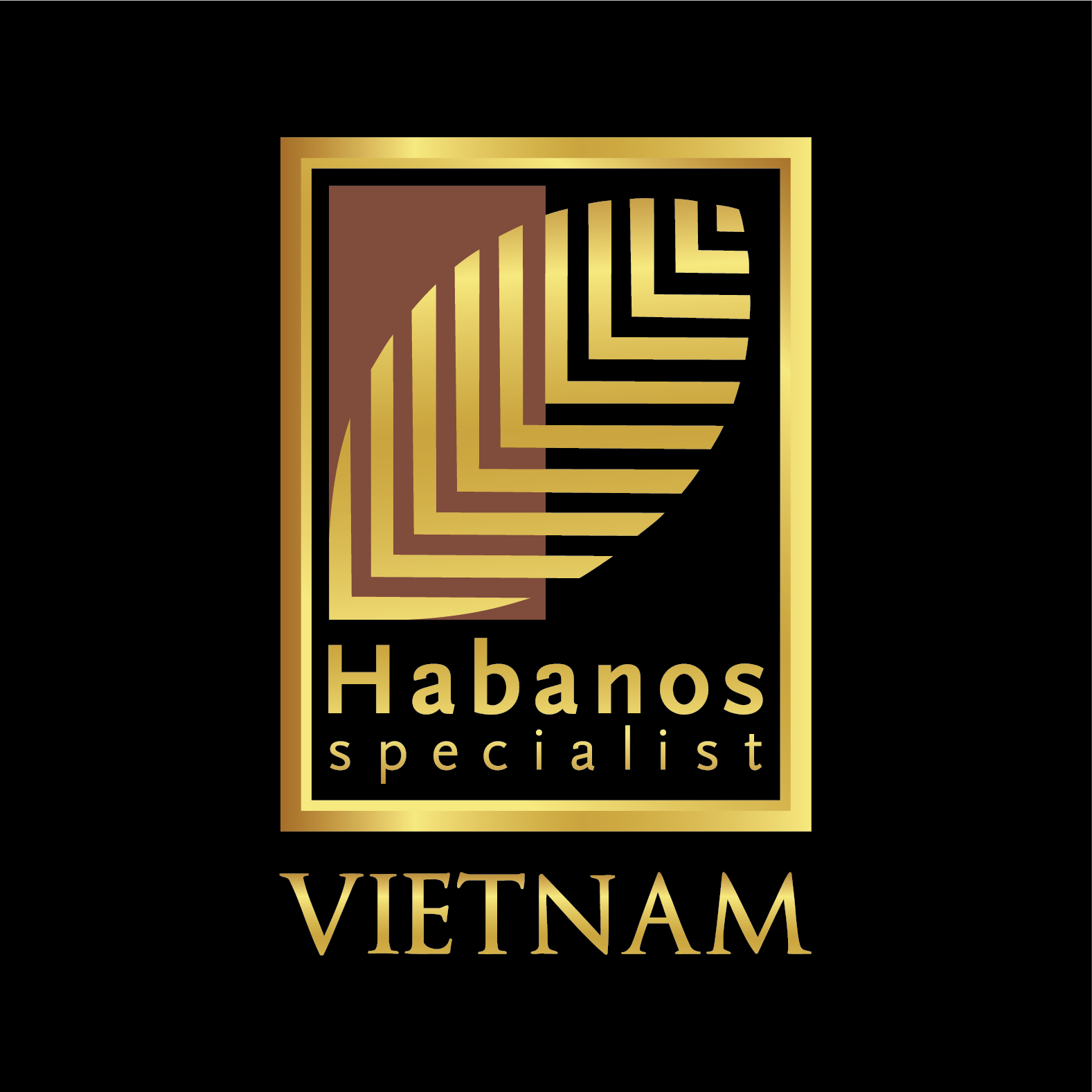 Hình ảnh CÔNG TY TNHH AVANTI-GROUP 5