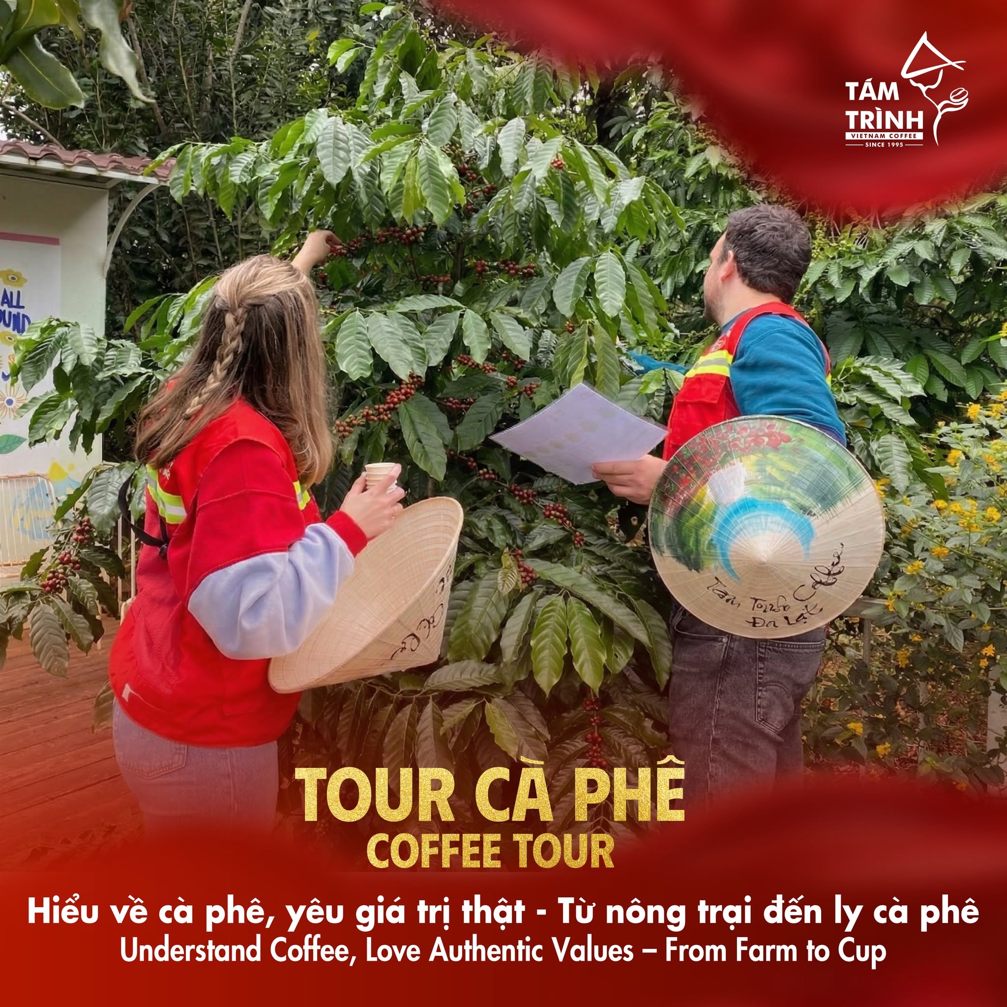Hình ảnh CÔNG TY TNHH XUẤT NHẬP KHẨU CÀ PHÊ TÁM TRÌNH 3
