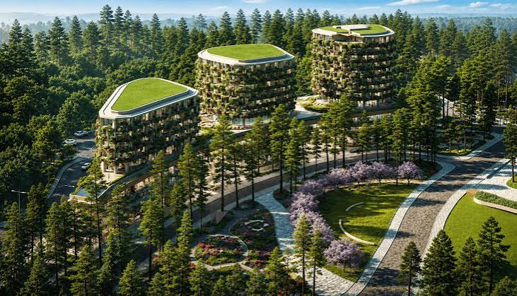Hình ảnh CHI NHÁNH CÔNG TY TNHH TOÀN CẦU DỊCH VỤ TẠI LÂM ĐỒNG 4