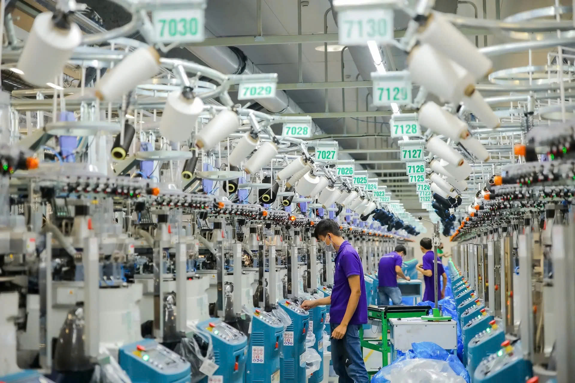 Hình ảnh Công ty TNHH Delta Galil Việt Nam 4