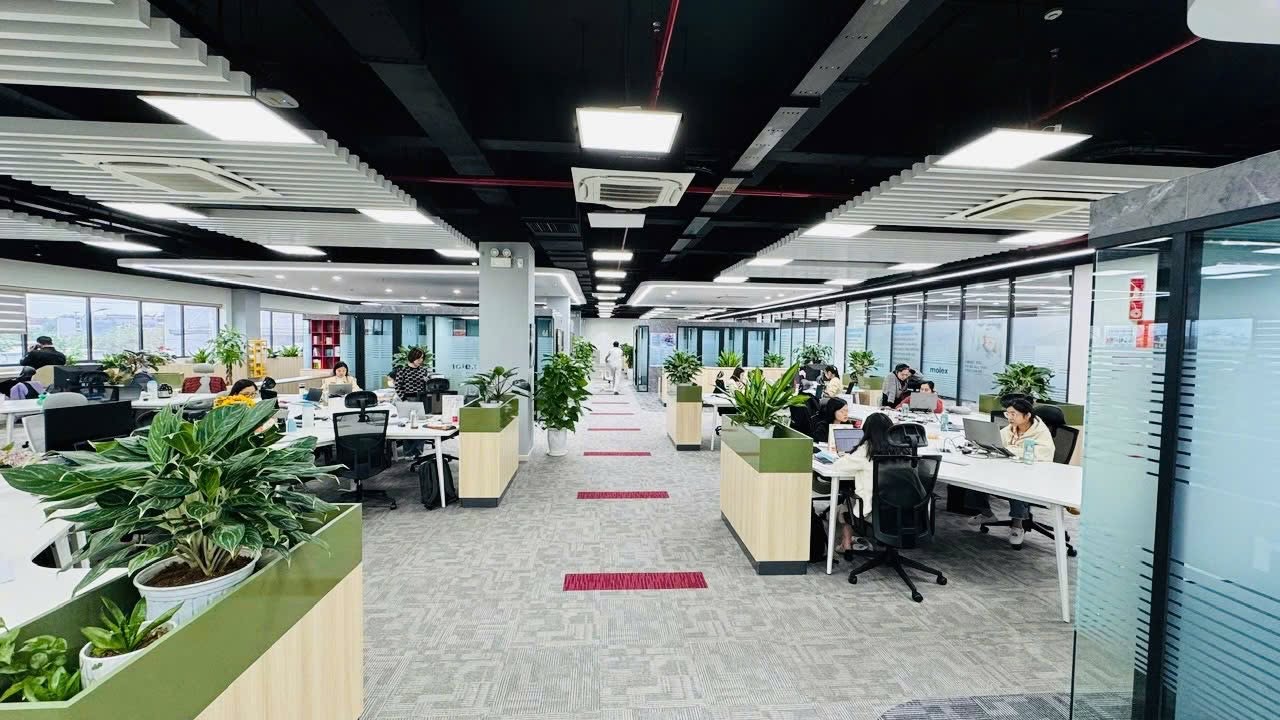 Hình ảnh CÔNG TY TNHH MOLEX VIỆT NAM 5