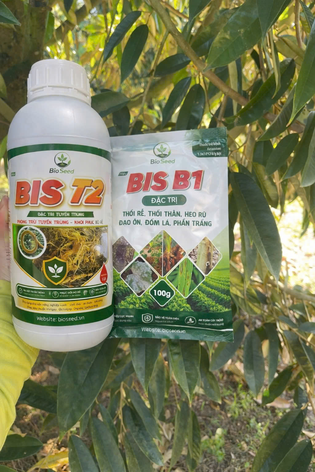 Hình ảnh CÔNG TY CỔ PHẦN TẬP ĐOÀN BIOSEED 1