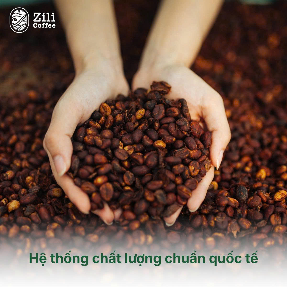 Hình ảnh ZILI COFFEE 1