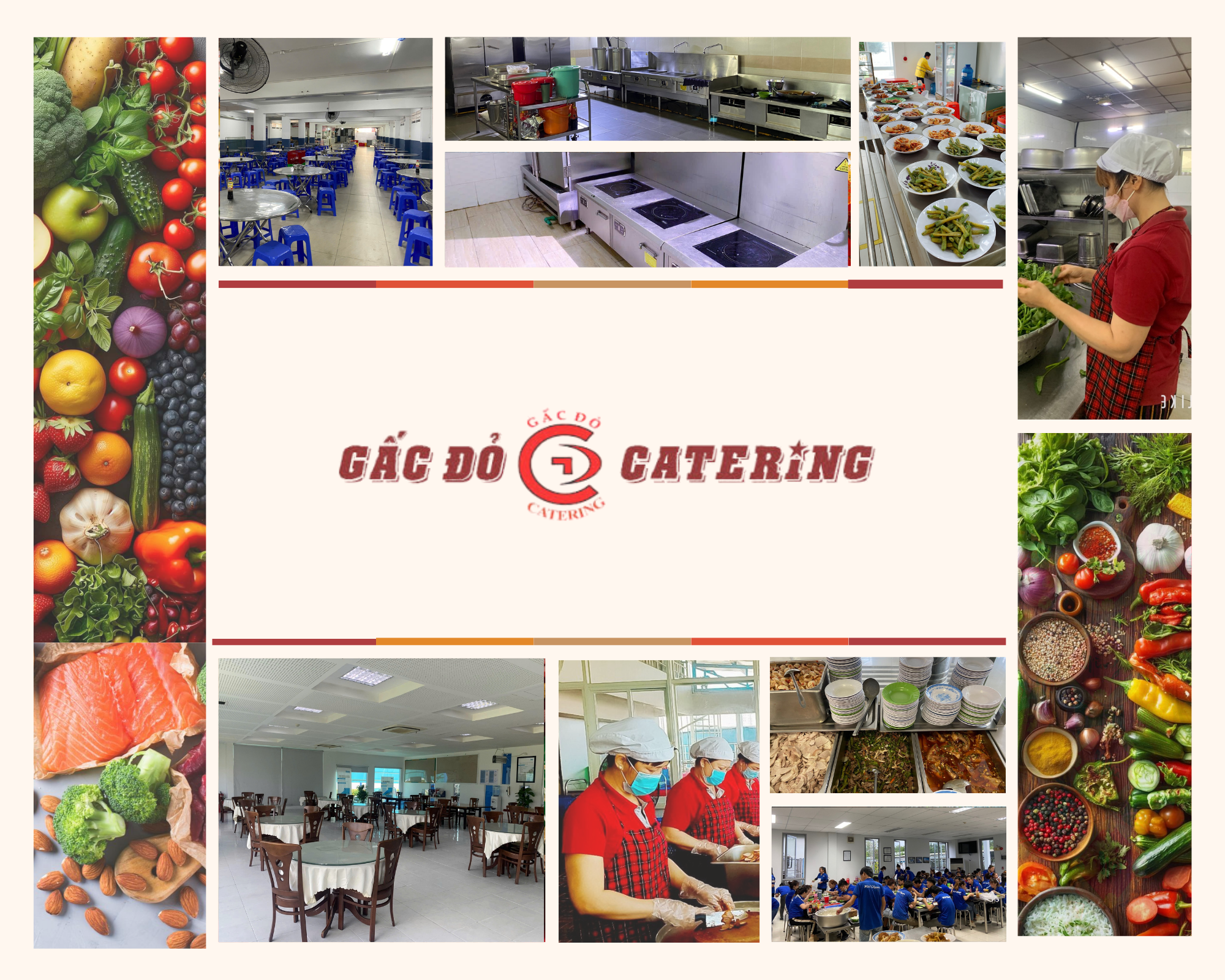 Hình ảnh CÔNG TY TRÁCH NHIỆM HỮU HẠN THƯƠNG MẠI GẤC ĐỎ 1