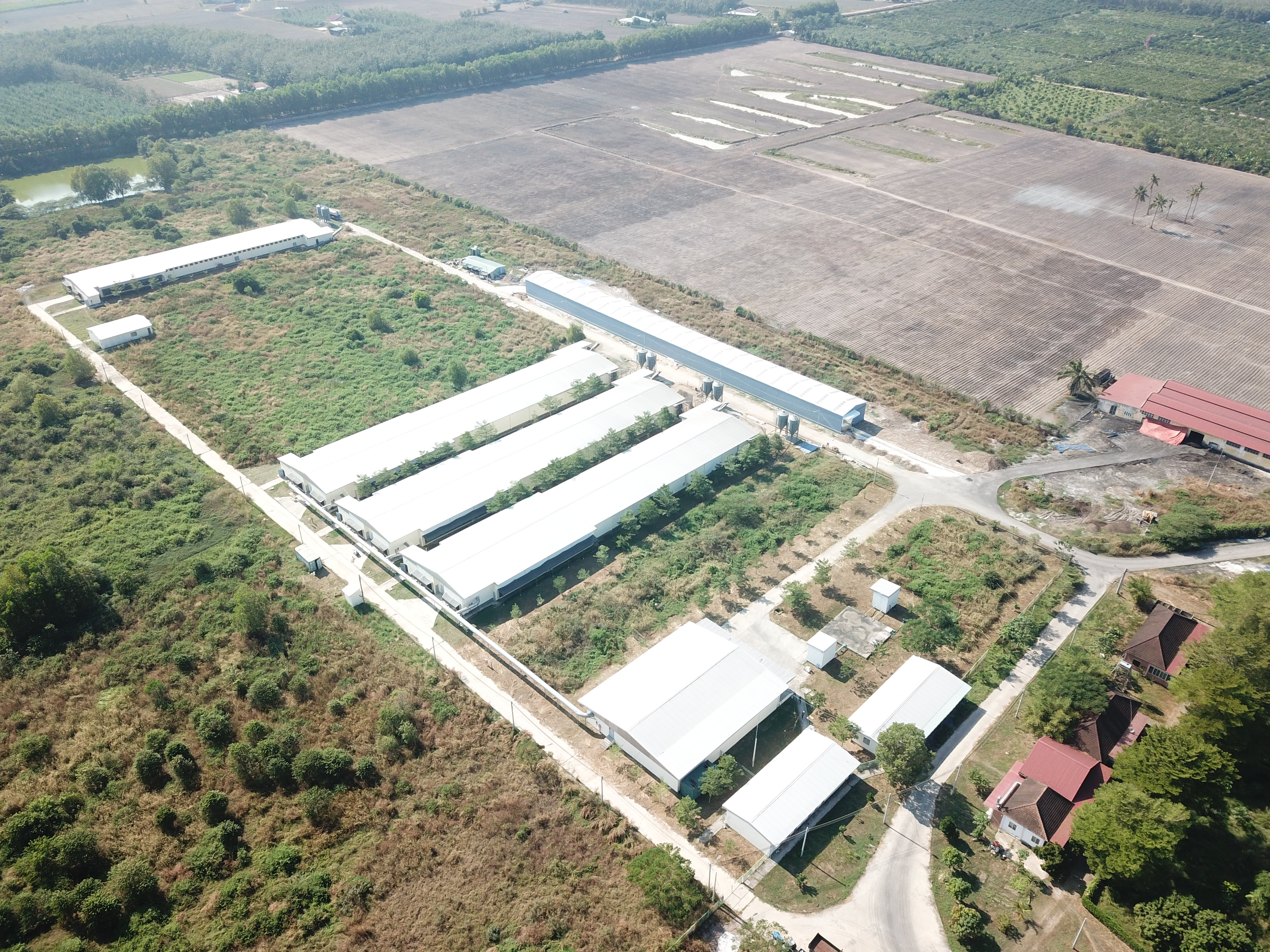 Hình ảnh CÔNG TY TNHH MTV TS FARM VIỆT NAM 1