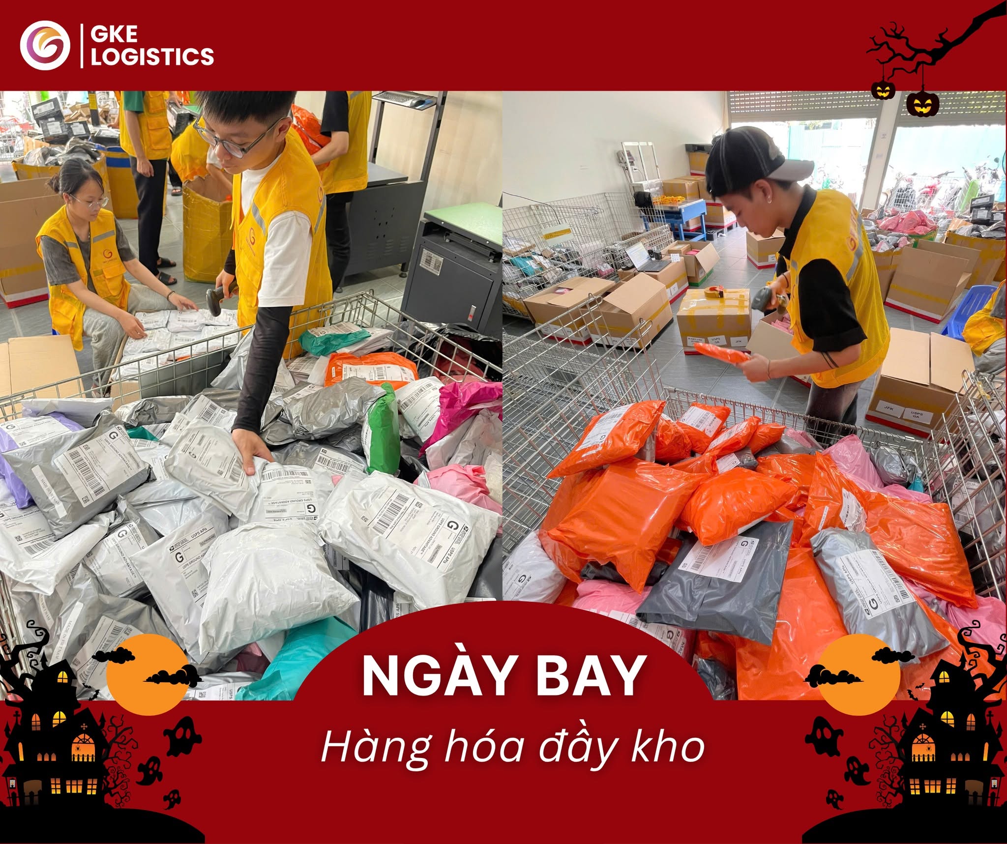 Hình ảnh CÔNG TY TNHH QUỐC TẾ GKE LOGISTICS 3