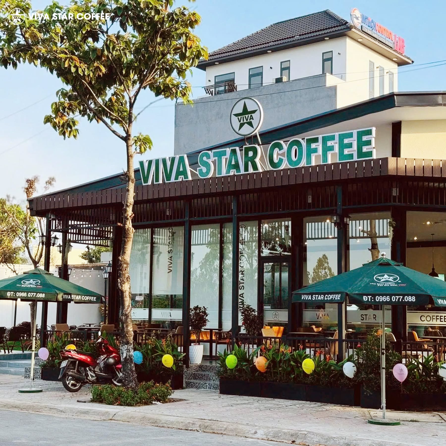 Hình ảnh CÔNG TY CỔ PHẦN VIVA STAR INTERNATIONAL 1