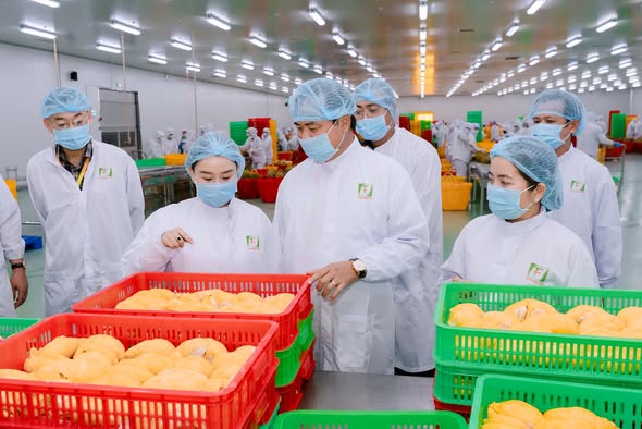 Hình ảnh CÔNG TY CỔ PHẦN THƯƠNG MẠI - ĐẦU TƯ XUẤT NHẬP KHẨU TRÁI CÂY CHÁNH THU 3