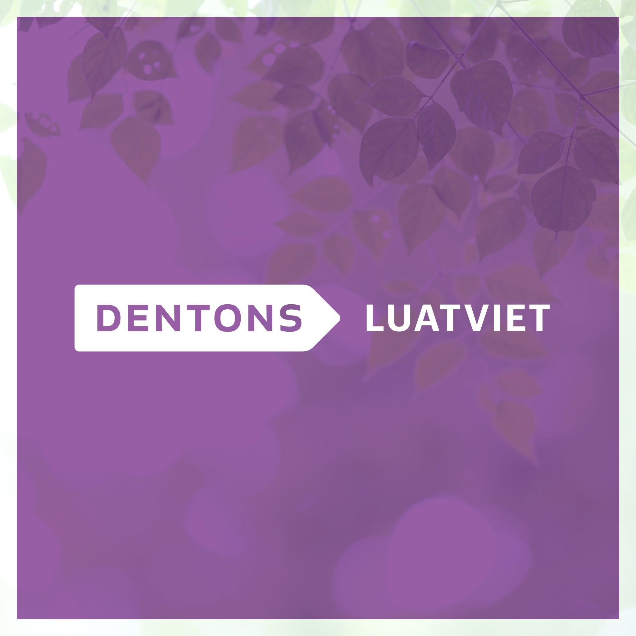 Hình ảnh Công Ty Luật TNHH Dentons Luật Việt 1