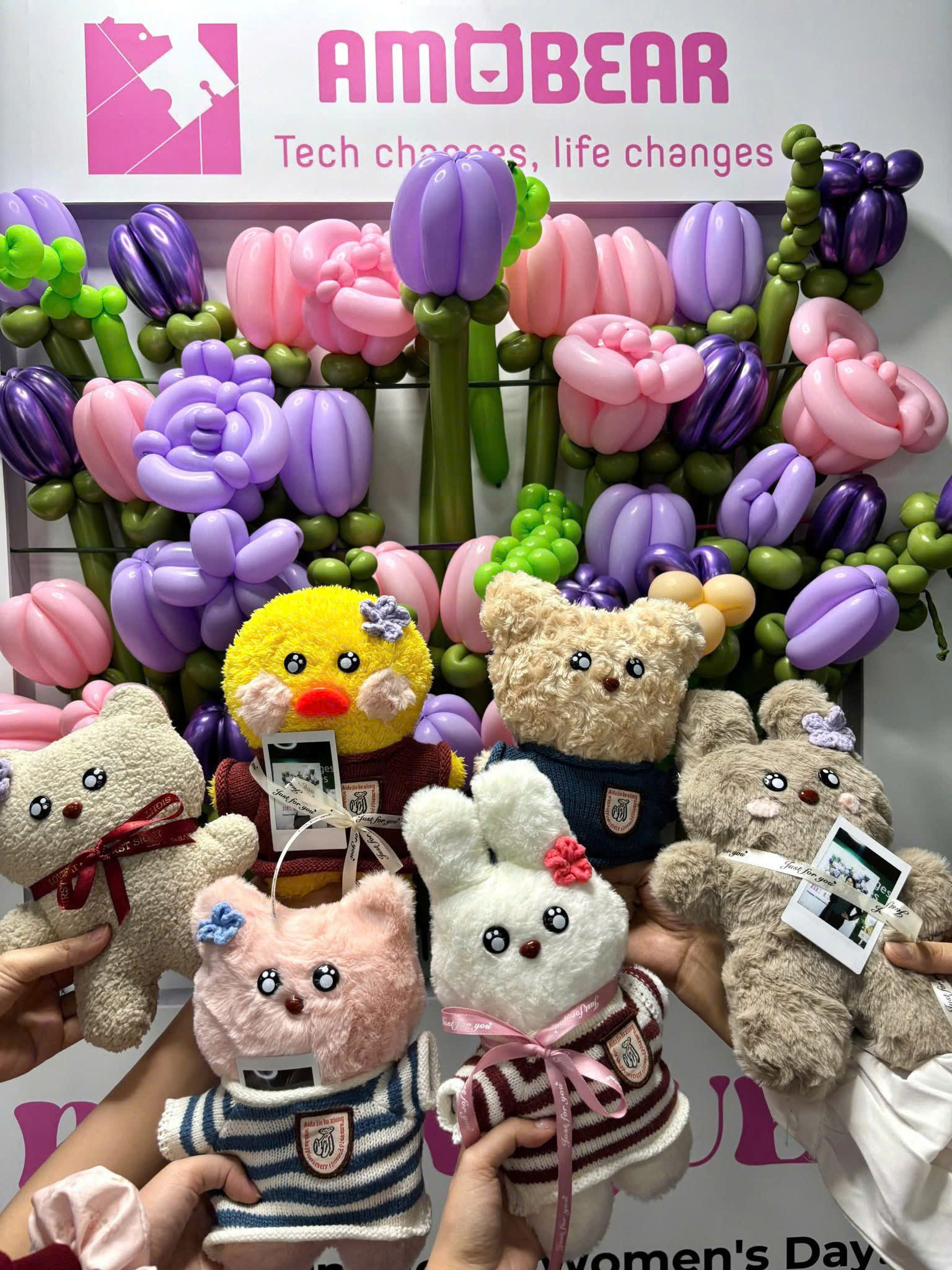 Hình ảnh CÔNG TY TNHH AMOBEAR VIỆT NAM 3