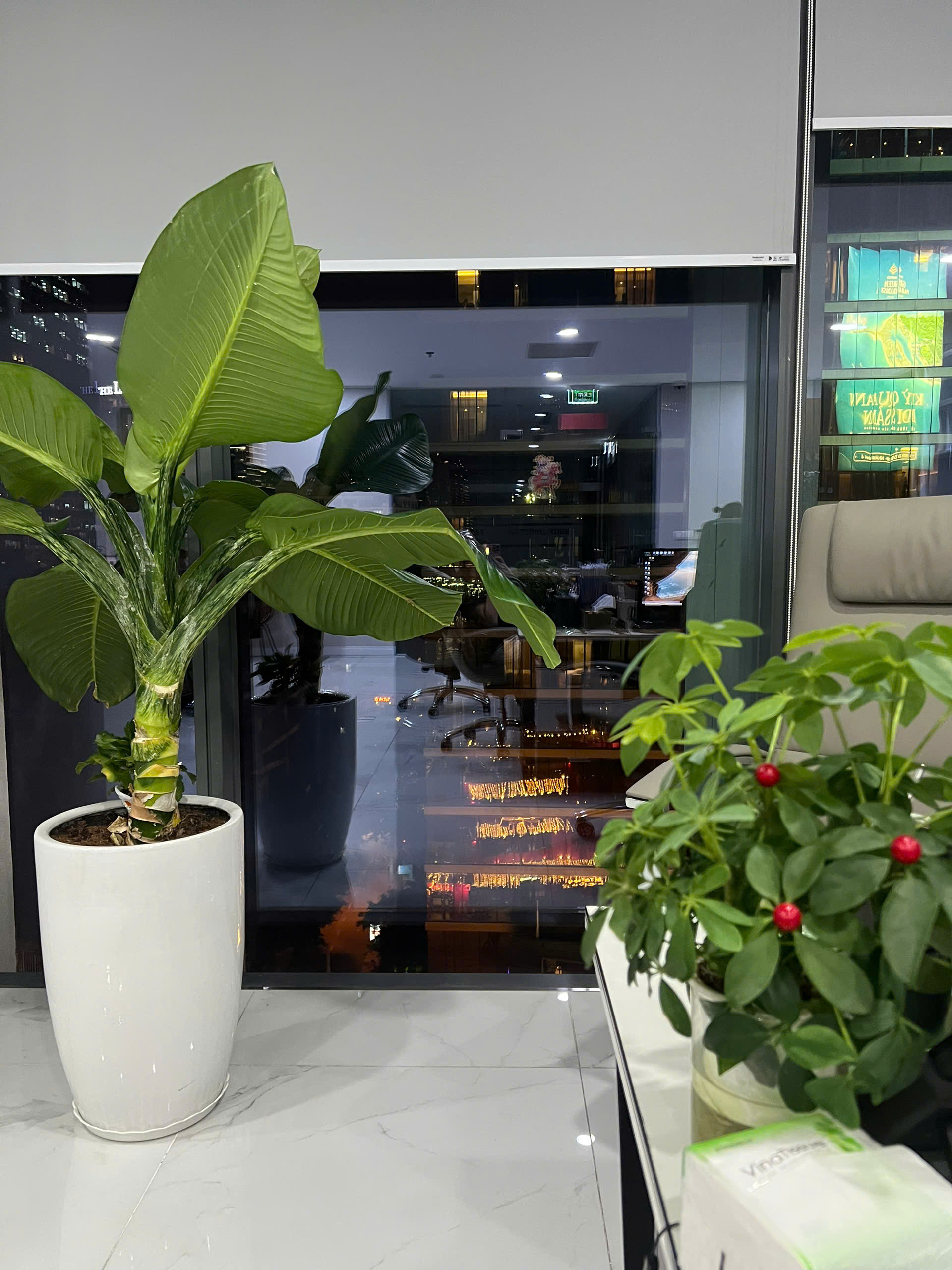 Hình ảnh Công Ty Cổ Phần Natural Forest Việt Nam 6