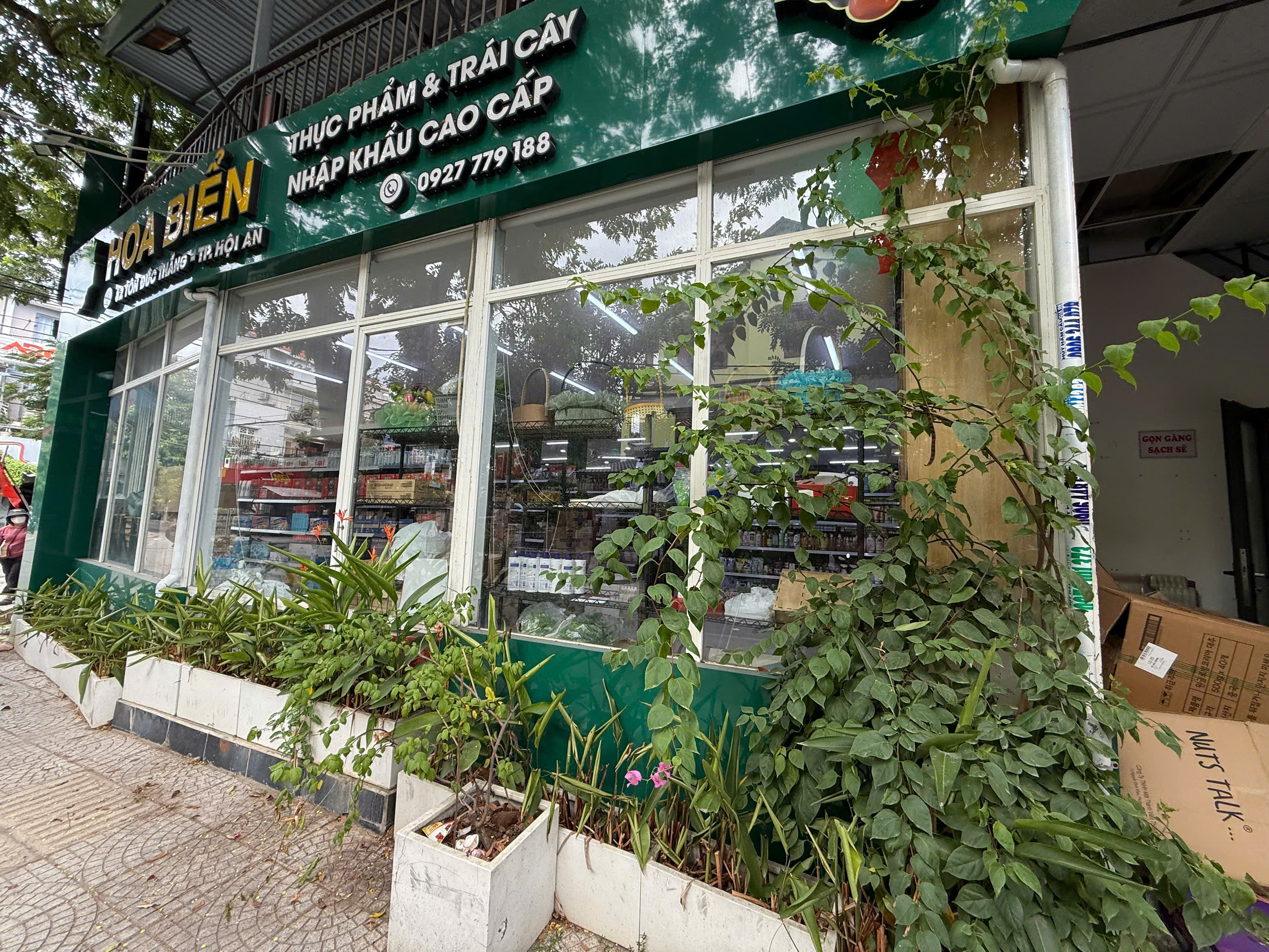 Hình ảnh CÔNG TY TNHH HOA BIỂN HCM 2