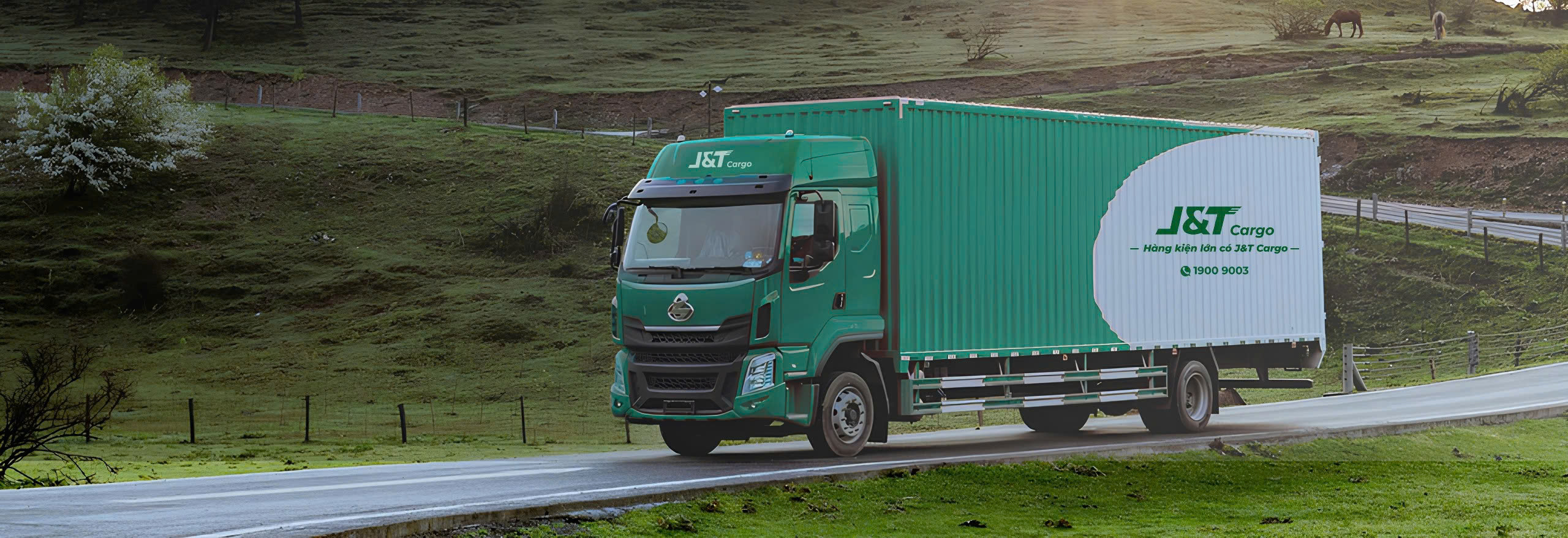 Hình ảnh CÔNG TY TNHH LOGISTICS HƯNG VẬN CARGO 1